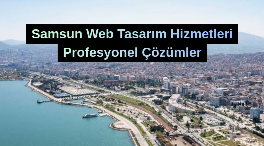 Samsun Web Tasarım ve Sosyal Medya Ajansı