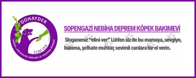 Sopengazi-Nebiha-Deprem-Kopek-Bakimevi v2