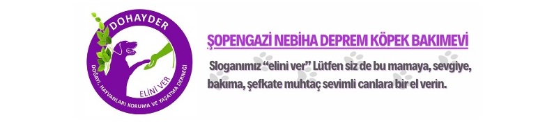 Elini Ver - Eliniver - Elini Ver Köpek Bakımevi - Şopengazi Köpek Bakımevi - Şopengazi Nebiha Deprem Köpek Bakımevi- İzmir Hayvan Barınağı - Nebiha Deprem Köpek Bakımevi.